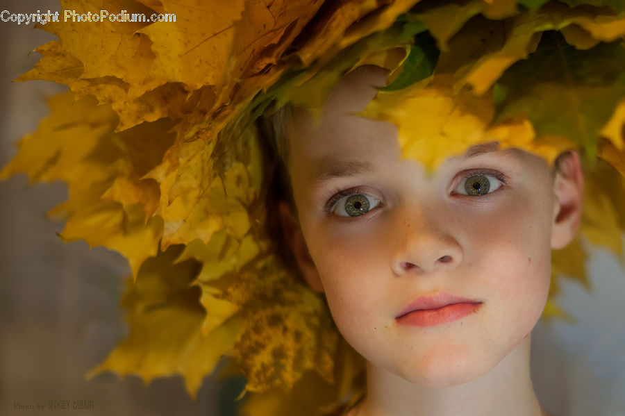 People, Person, Human, Blossom, Daffodil, Flora, Flower