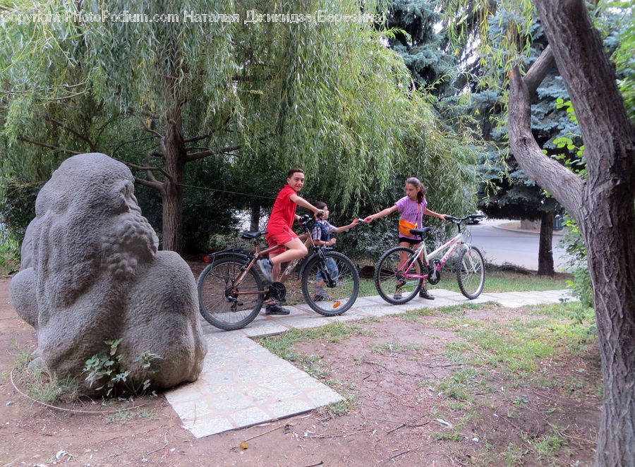 People, Person, Human, Bicycle, Bike, Vehicle, Mountain Bike