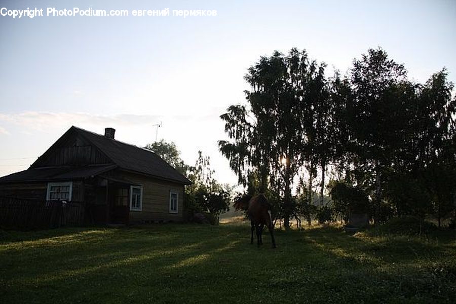 Building, Cottage, Housing, Countryside, Outdoors, Farm, Field