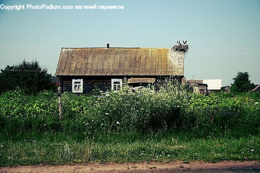 Building, Cottage, Housing, Billboard, Cabin, Hut, Rural