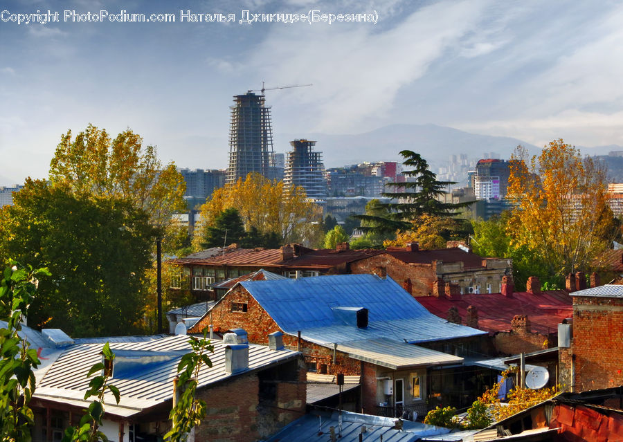 Building, Cottage, Housing, Terrace, Villa, Downtown, Neighborhood