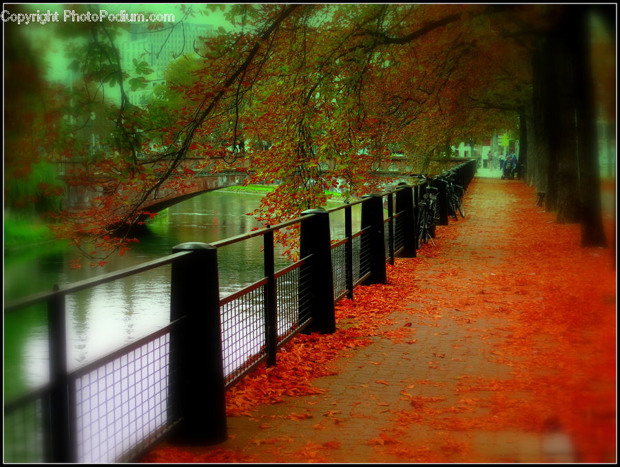 Brick, Corridor, Boardwalk, Path, Pavement, Sidewalk, Walkway