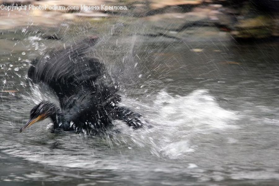 Water, Outdoors, Sea, Sea Waves, Sport, Swimming