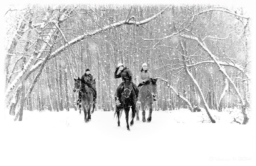 People, Person, Human, Blizzard, Outdoors, Snow, Weather