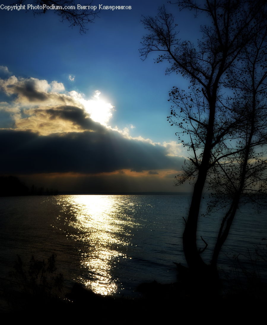 Azure Sky, Cloud, Outdoors, Sky, Plant, Tree, Dawn