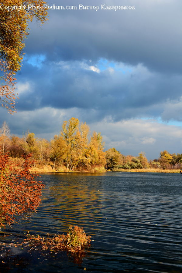 Azure Sky, Cloud, Outdoors, Sky, Land, Marsh, Swamp