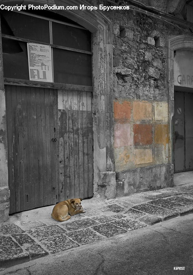 Alley, Alleyway, Road, Street, Town, Brick, Animal