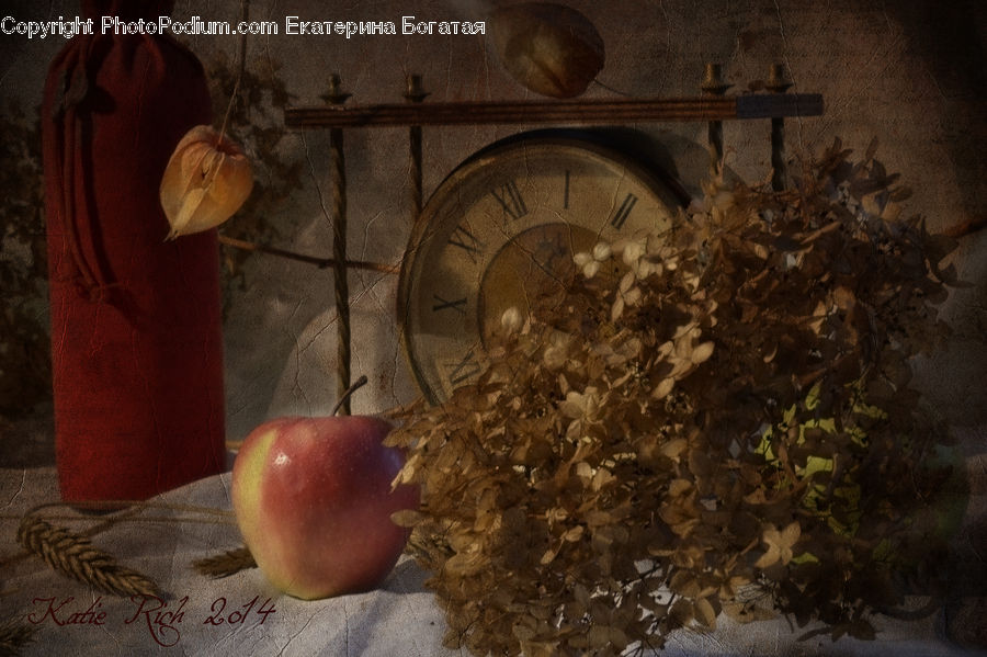 Apple, Fruit, People, Person, Human, Ivy, Plant