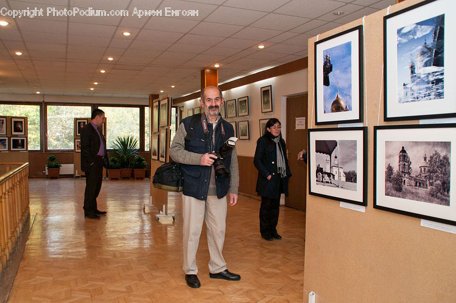 Plant, Potted Plant, Human, People, Person, Art, Art Gallery