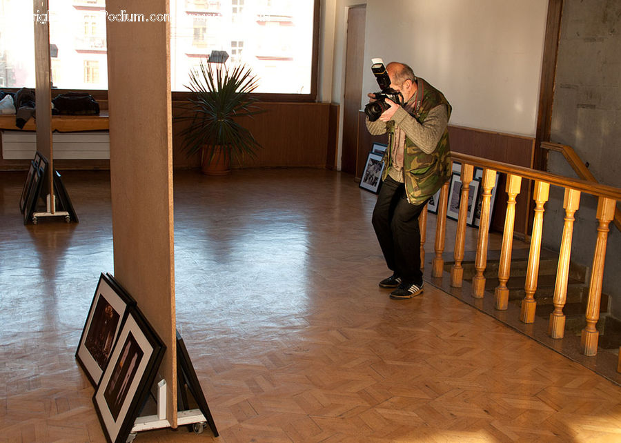 People, Person, Human, Hardwood, Wood, Plant, Potted Plant