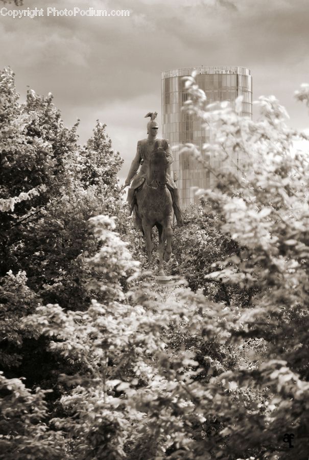 People, Person, Human, Art, Sculpture, Statue, Bush