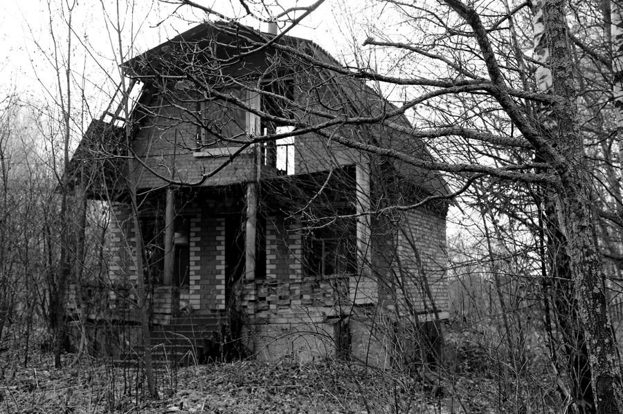 Cabin, Hut, Rural, Shack, Shelter, Building, Cottage