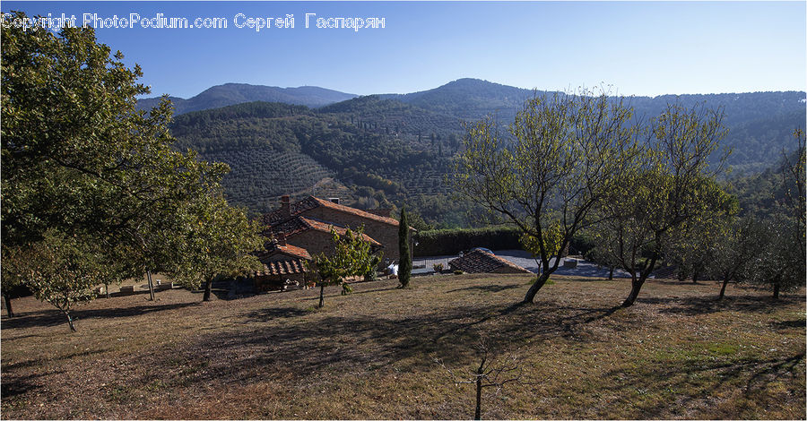 Outdoors, Wilderness, Architecture, Housing, Monastery, Plant, Tree