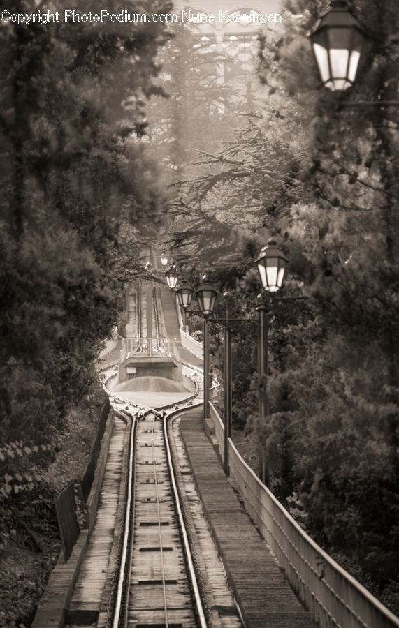 Lantern, Rail, Train Track, Path, Trail, Park, Road