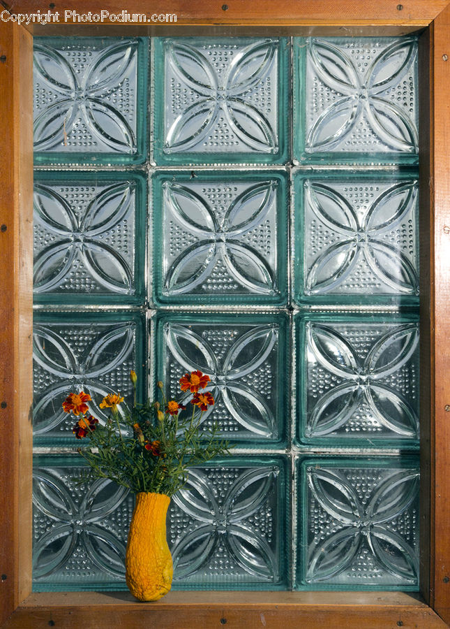 Plant, Potted Plant, Window, Furniture, Herbal, Herbs, Planter