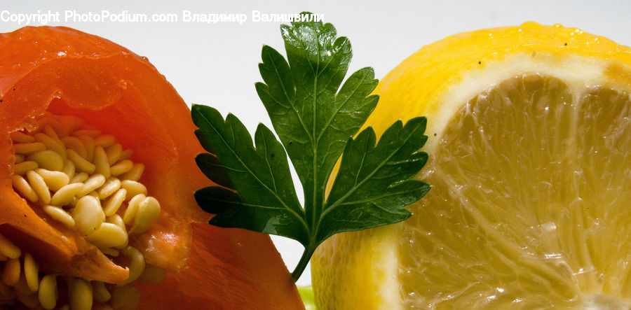 Leaf, Plant, Citrus Fruit, Fruit, Grapefruit, Bell Pepper, Pepper