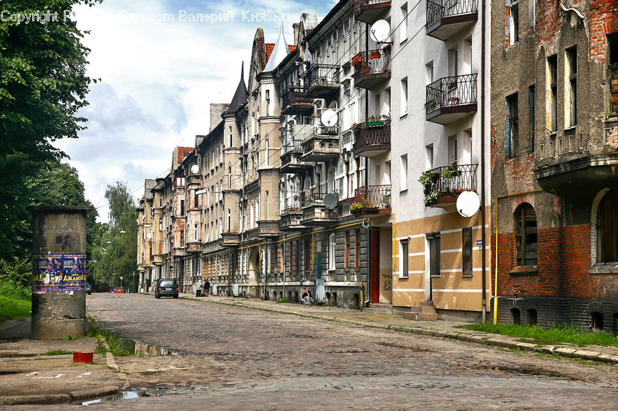 Road, Street, Town, Building, Downtown, Plant, Tree