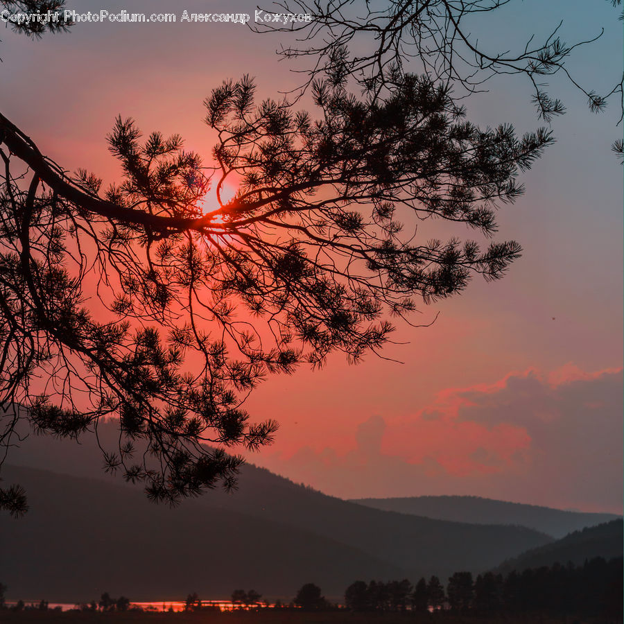 Dawn, Dusk, Red Sky, Sky, Sunrise, Sunset, Silhouette
