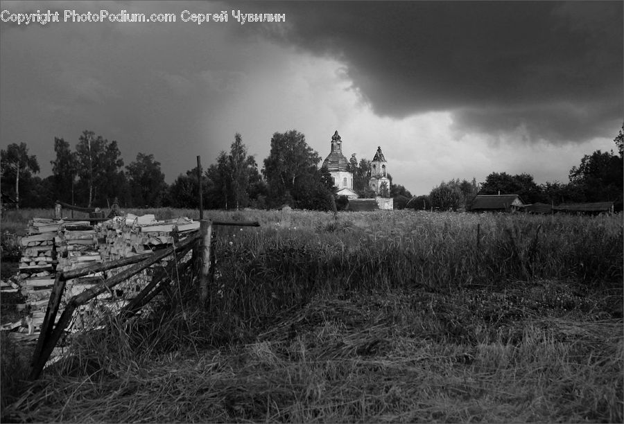 Outdoors, Storm, Weather, Forest, Vegetation, Soil