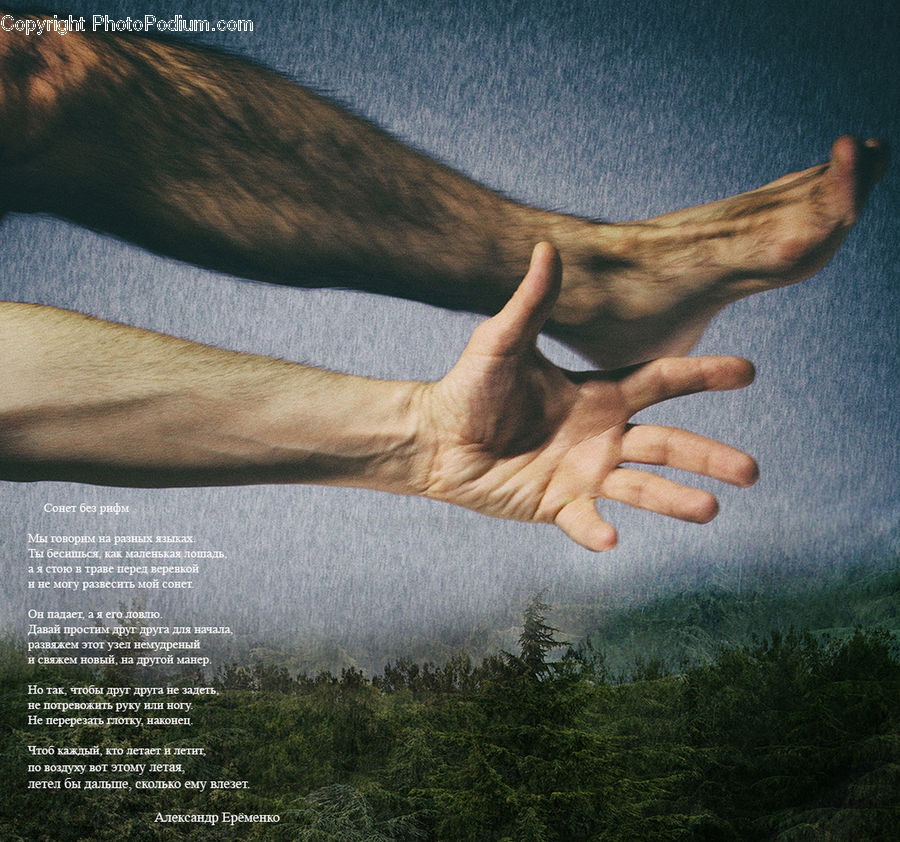Finger, Hand