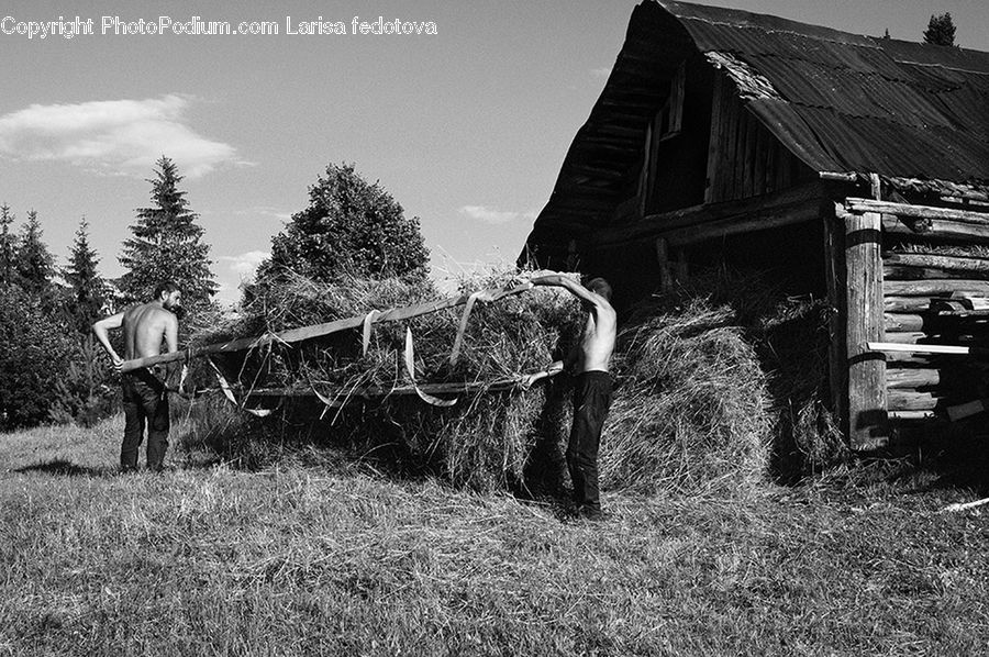 Cabin, Hut, Rural, Shack, Shelter, Countryside, Farm