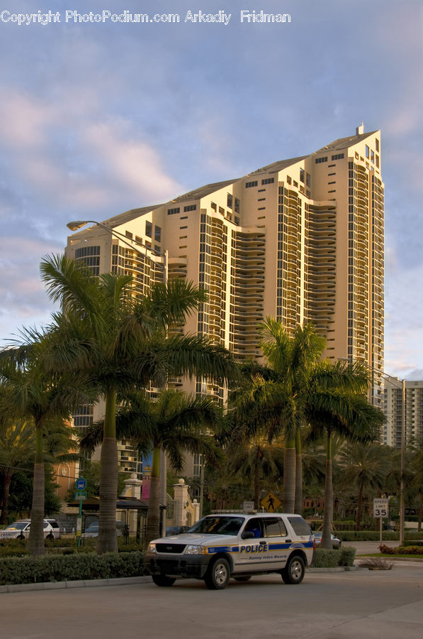 Building, Housing, Car, Suv, Vehicle, City, High Rise