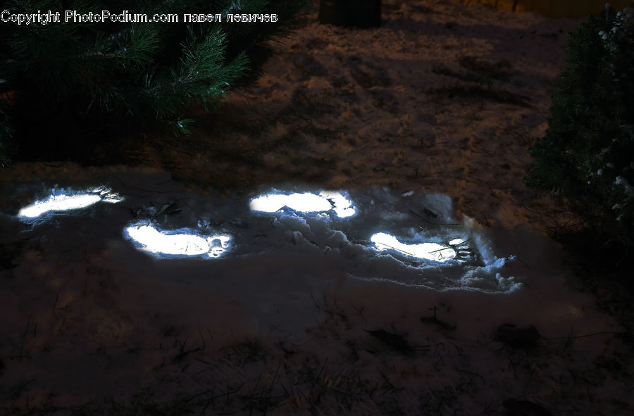 Cave, Hole, Night, Outdoors, Light, Forest, Vegetation