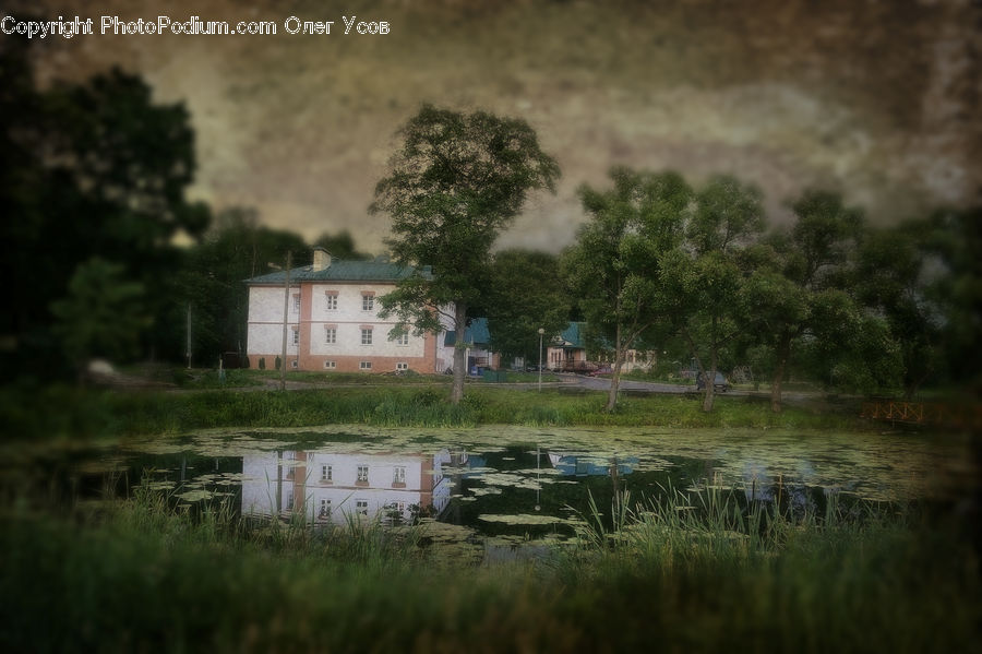 Land, Marsh, Outdoors, Swamp, Water, Pond, Building