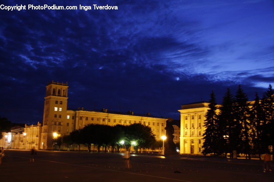 Night, Outdoors, Building, Housing, Conifer, Fir, Plant