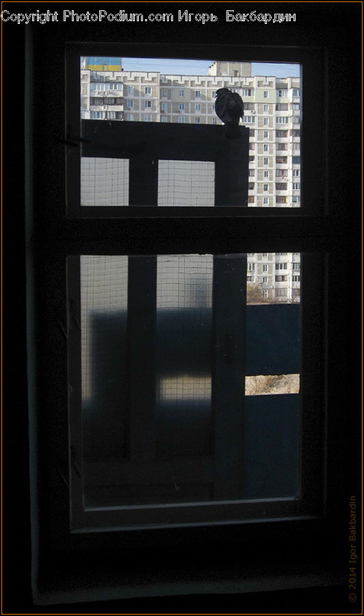 People, Person, Human, Building, City, High Rise, Silhouette
