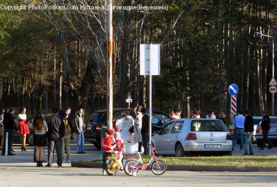 Automobile, Car, Vehicle, Bicycle, Bike, Cyclist, Van