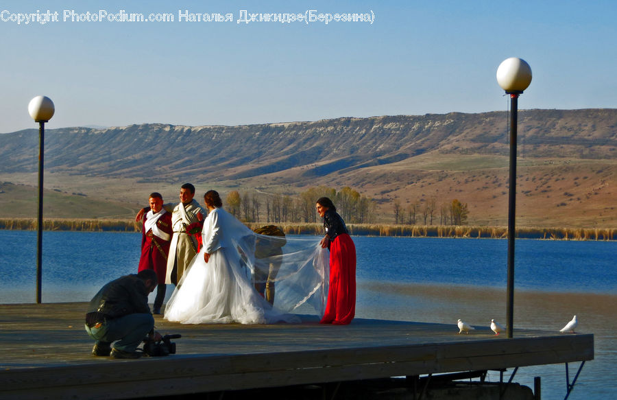 People, Person, Human, Bird, Seagull, Costume, Sari