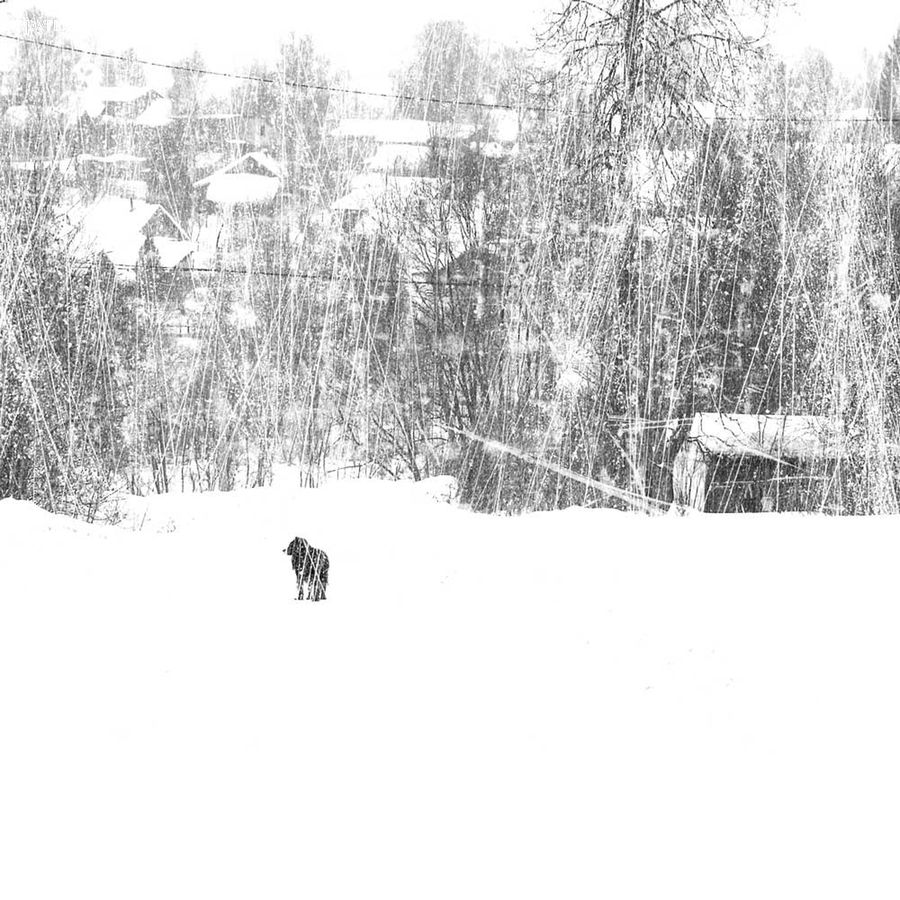 Ice, Outdoors, Snow, Barbed Wire, Wire, Cabin, Hut