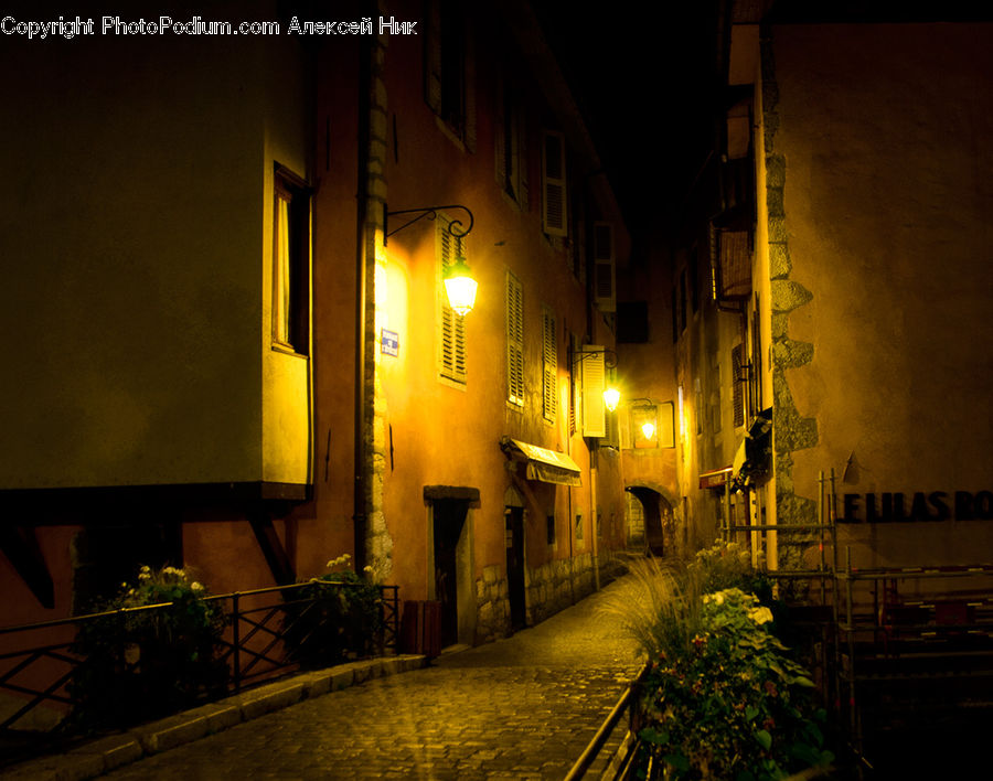 Plant, Potted Plant, Cobblestone, Pavement, Walkway, Alley, Alleyway