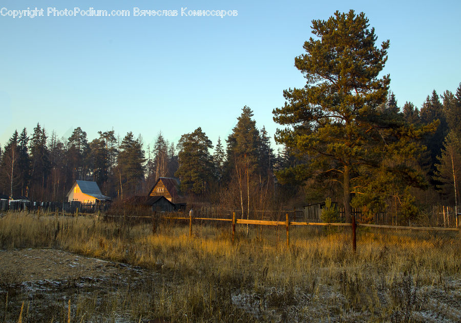 Building, Cottage, Housing, Countryside, Field, Rural, Grass