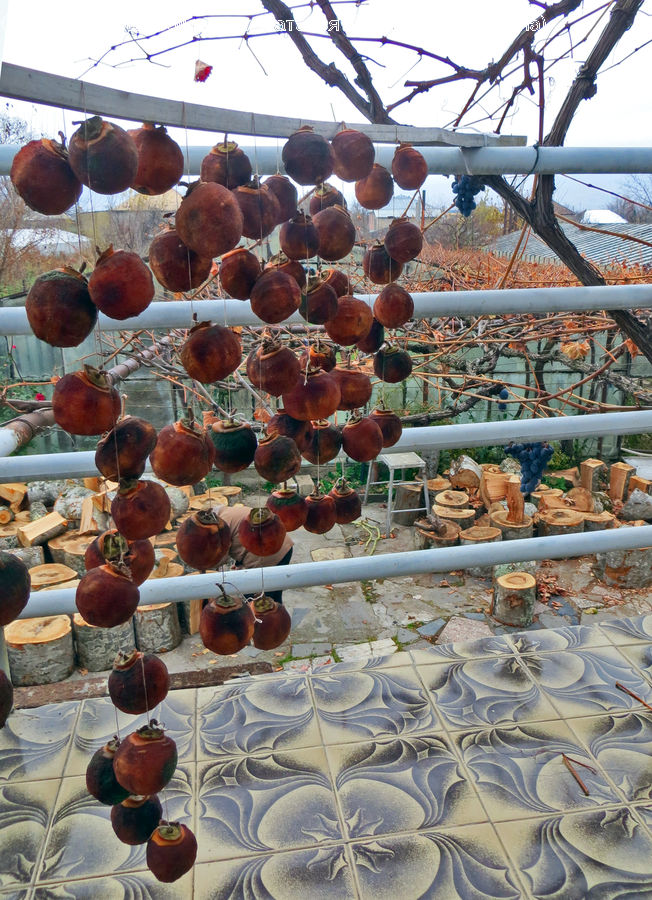 Fruit, Grapes, Pomegranate, Pot, Pottery, Candy, Confectionery