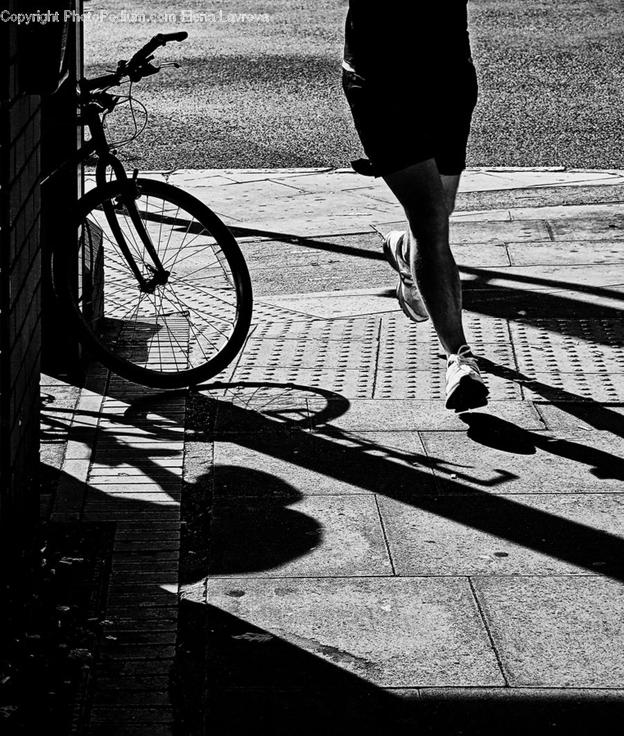 Bicycle, Bike, Vehicle, Cyclist, Asphalt, Tarmac, City