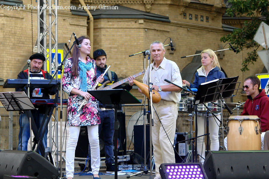 Plant, Potted Plant, Human, People, Person, Drum, Music