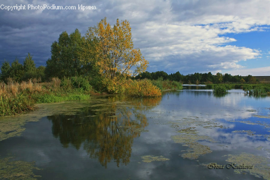 Lake, Outdoors, Water, Land, Marsh, Pond, Swamp