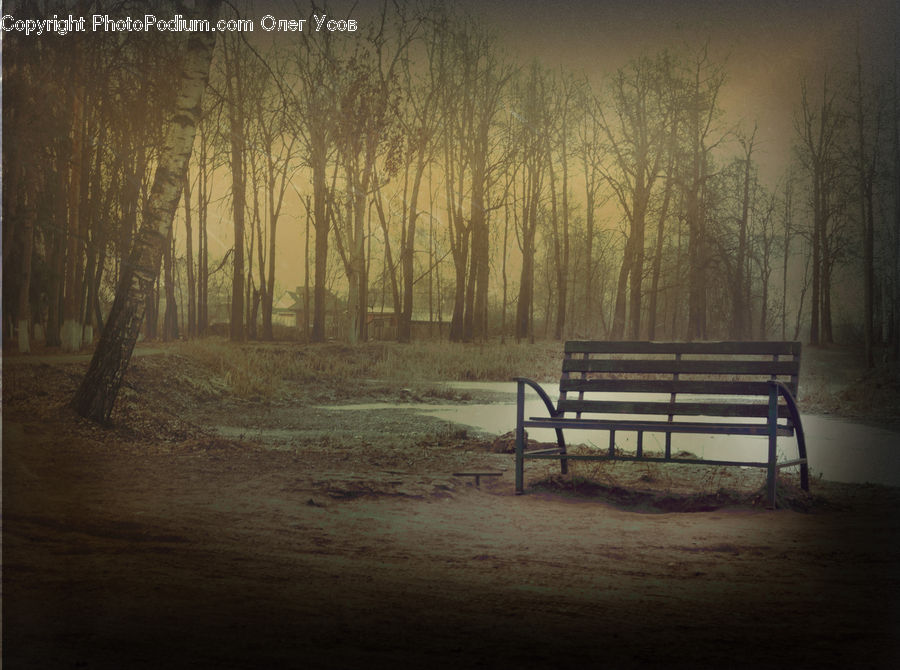 Bench, Park Bench, Dirt Road, Gravel, Road