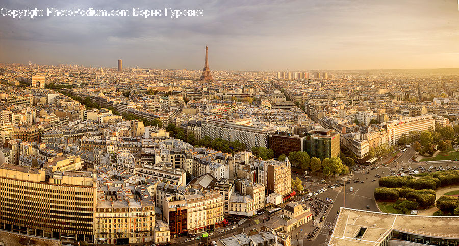 City, Downtown, Aerial View, Fence, Hedge, Plant, Metropolis