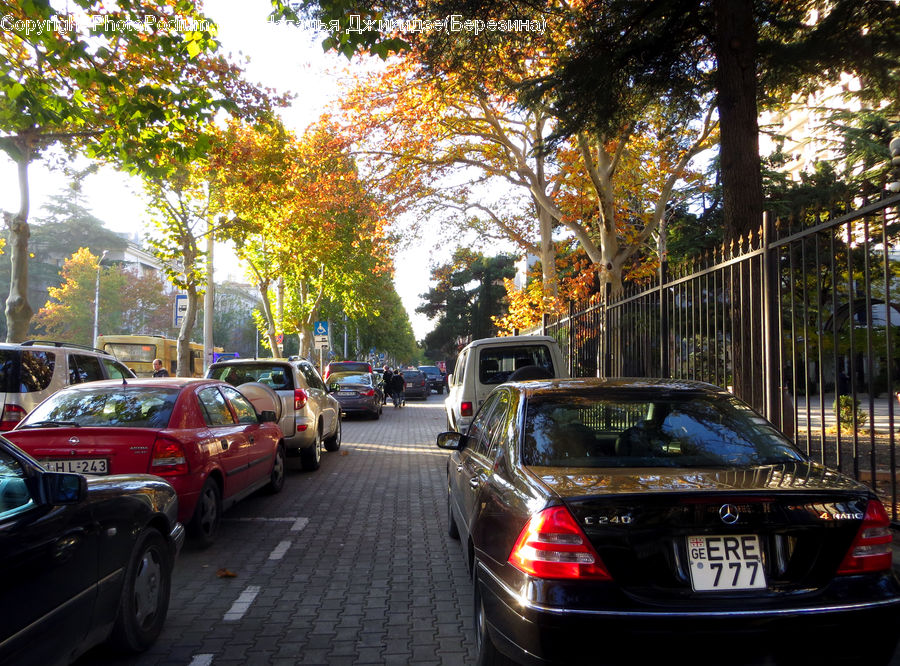 Automobile, Car, Vehicle, Coupe, Sports Car, Cab, Taxi