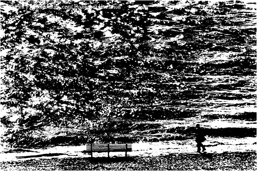 Bench, Plant, Tree, Blossom, Flora, Flower, Outdoors