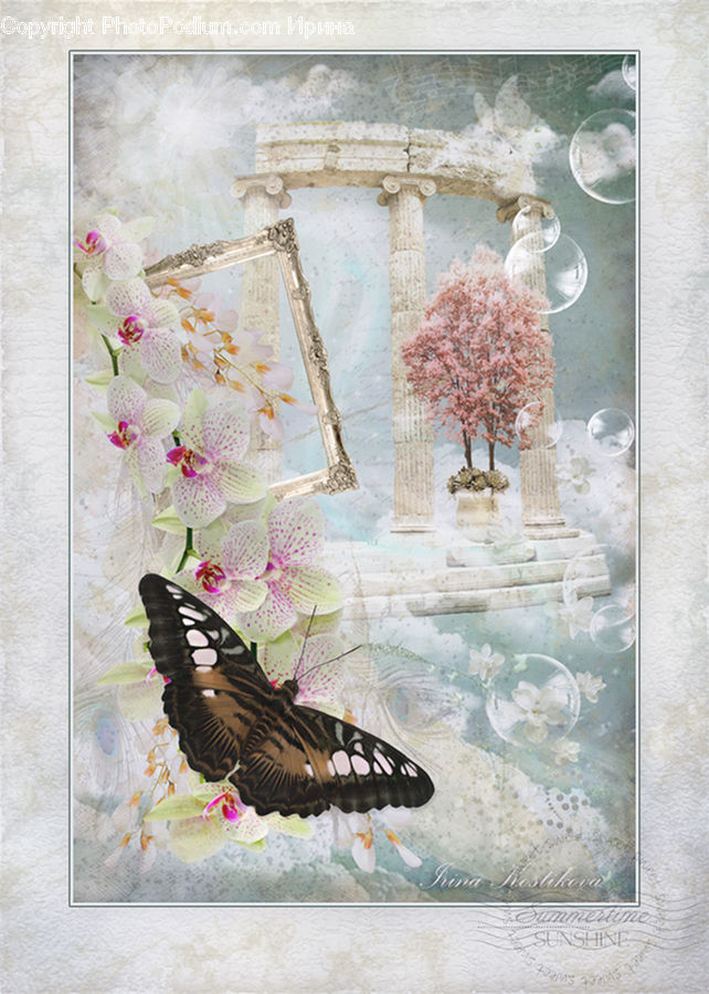 Butterfly, Insect, Invertebrate, Bonsai, Plant, Potted Plant, Tree