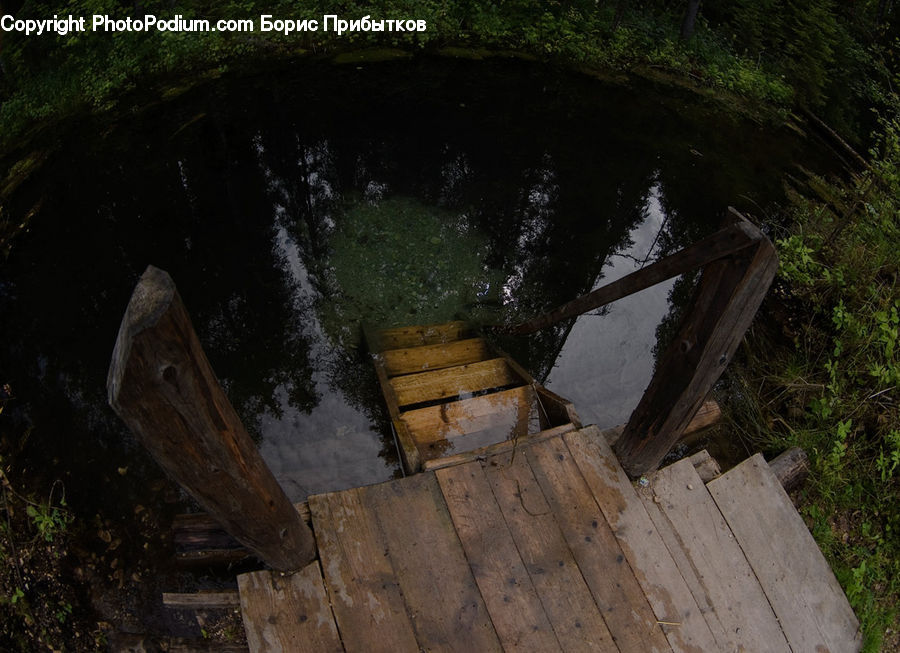 Plant, Potted Plant, Boat, Rowboat, Vessel, Dinghy, Forest