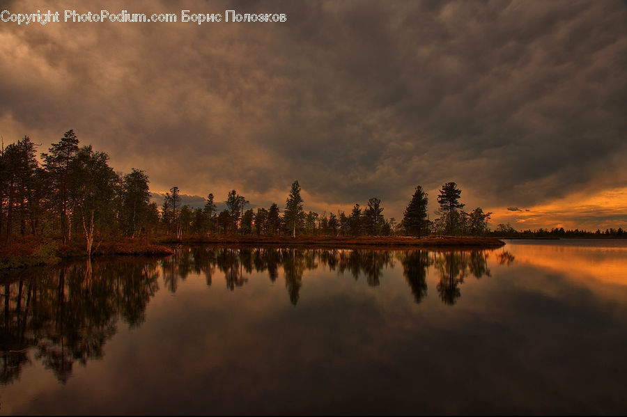 Land, Marsh, Outdoors, Swamp, Water, Factory, Refinery