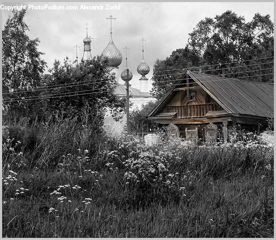 Building, Cottage, Housing, Cabin, Hut, Rural, Shack