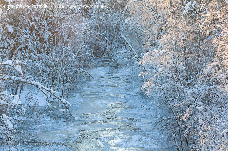 Field, Grass, Grassland, Plant, Frost, Ice, Outdoors