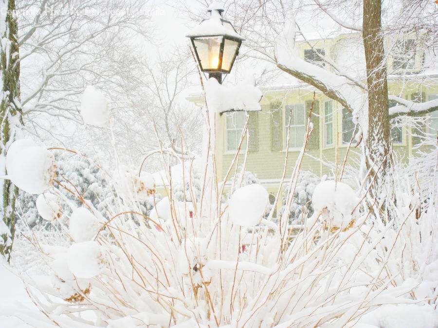 Bird Feeder, Blizzard, Outdoors, Snow, Weather, Winter, Ice