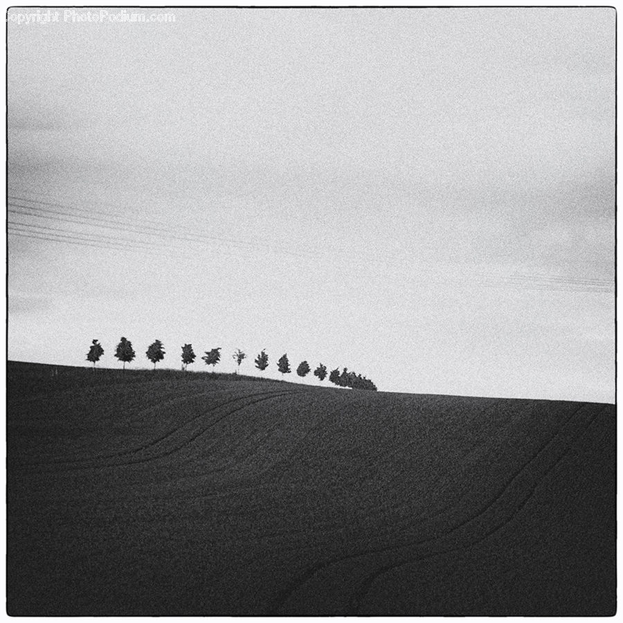 Silhouette, Text, Soil